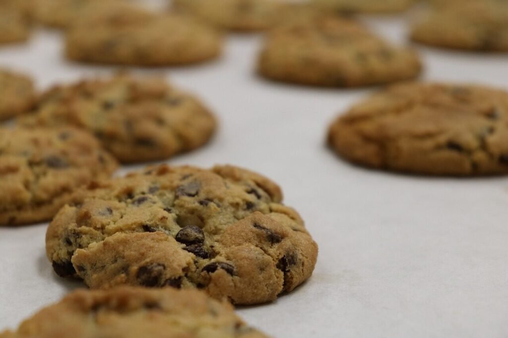 cookie, chocolate chip, baking, kitchen, bake, dessert, snack, food, sweet, brown chocolate, chocolate chip, chocolate chip, chocolate chip, chocolate chip, chocolate chip
